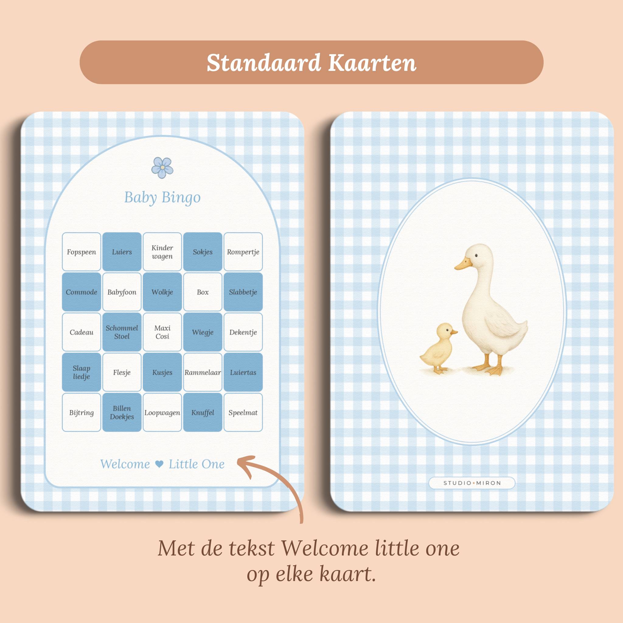 Baby Bingo | Gingham Blauw