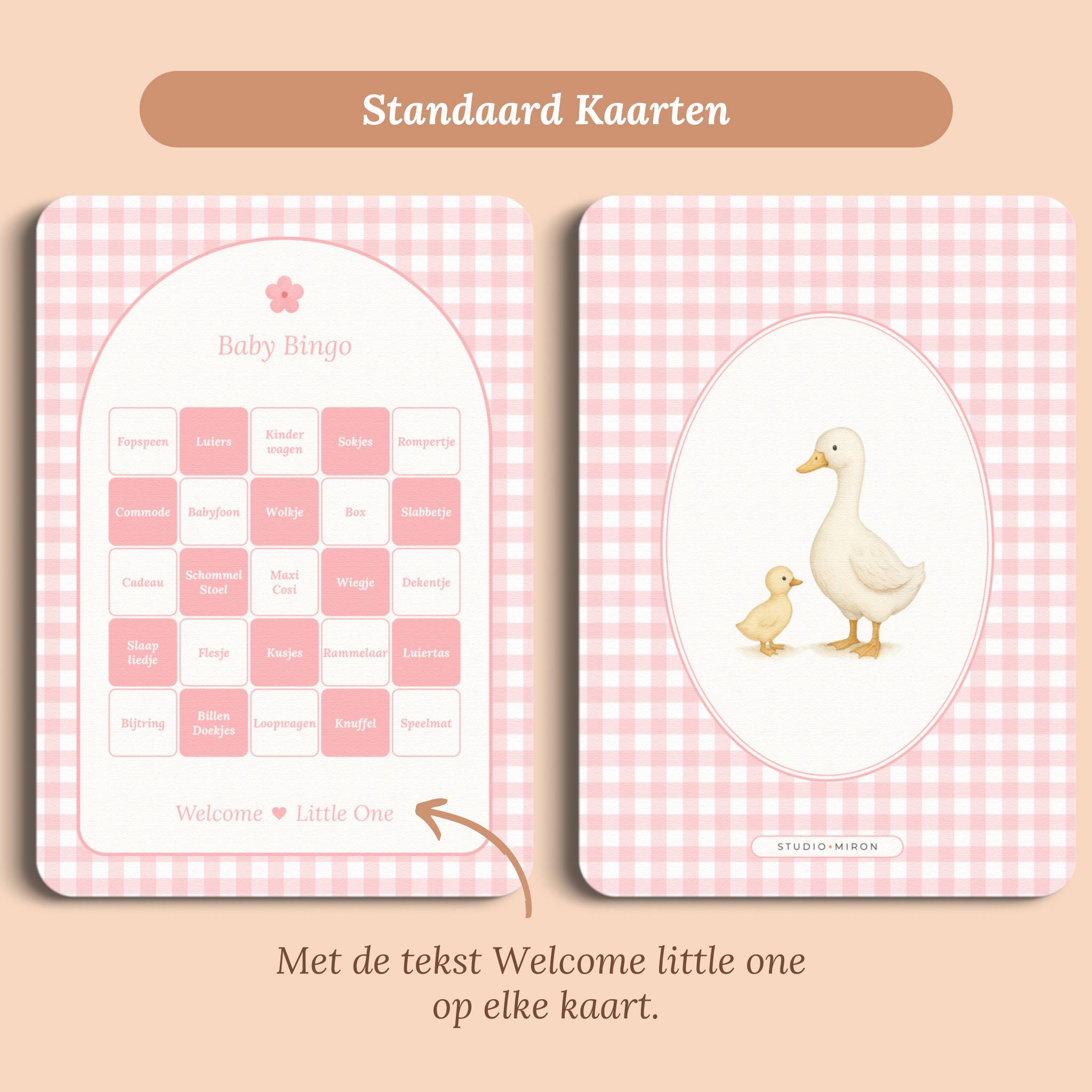Baby Bingo | Gingham Roze