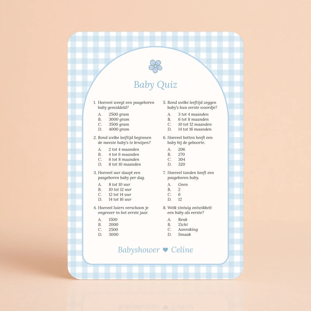 Baby Quiz | Gingham Blauw