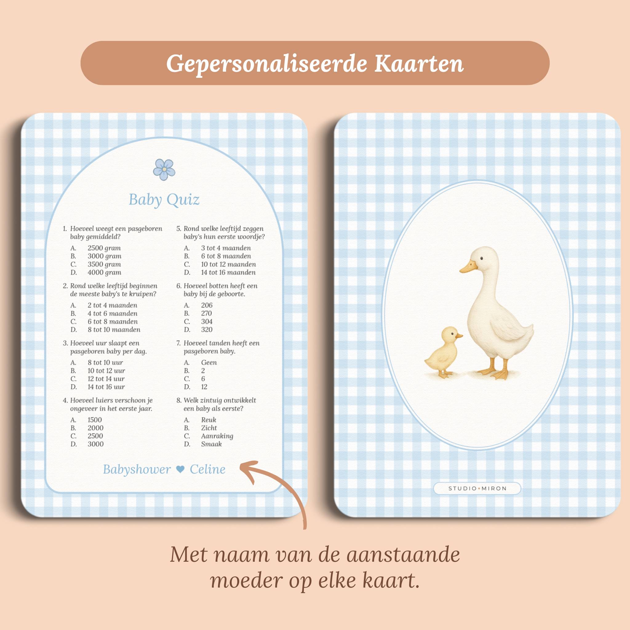 Baby Quiz | Gingham Blauw