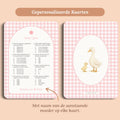 Baby Quiz | Gingham Roze