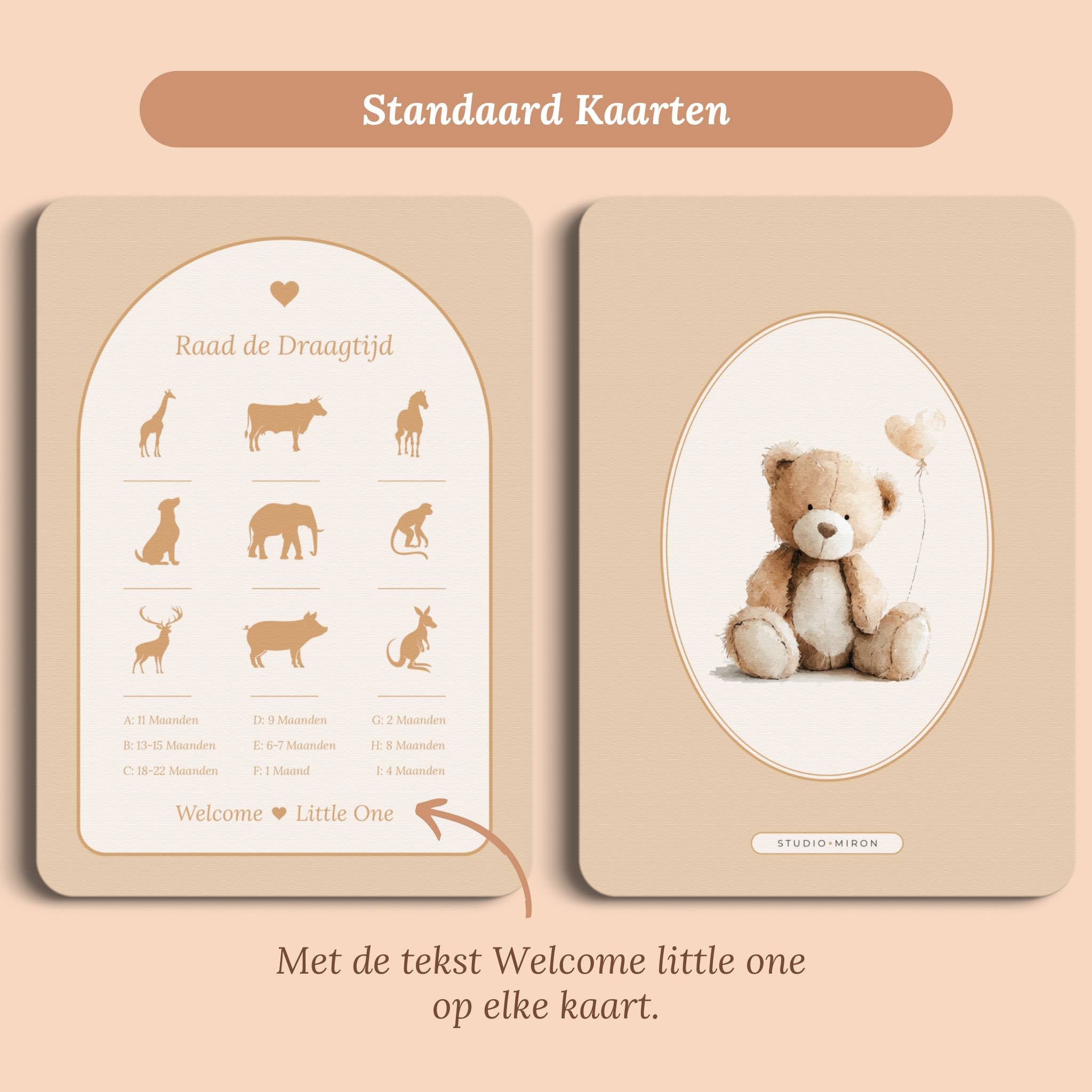 Raad de Draagtijd | Boho Zand met Beertje